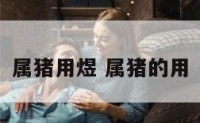属猪用煜 属猪的用