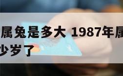 1987年属兔是多大 1987年属兔是什么命多少岁了